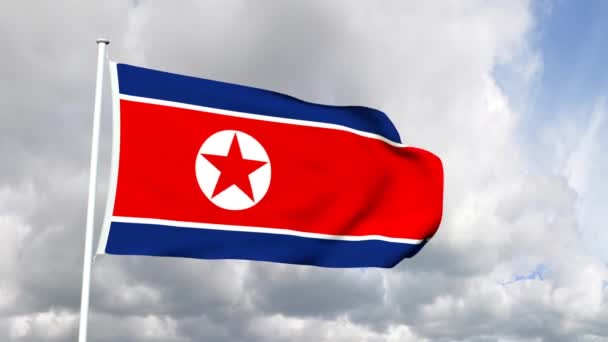 Nordkoreas flagga — Stockvideo