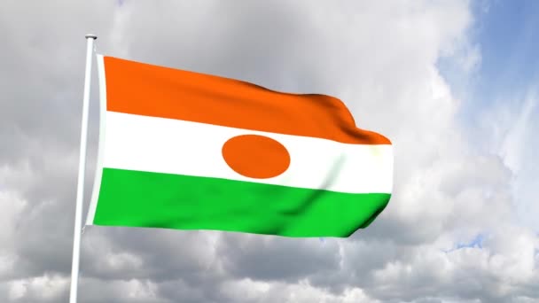 Niger zászlaja — Stock videók