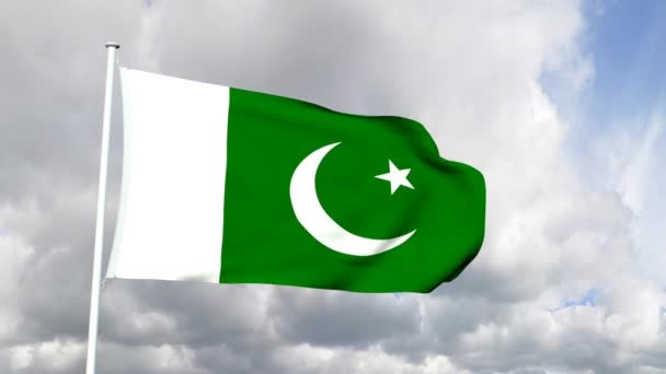 Flagge von Pakistan — Stockvideo