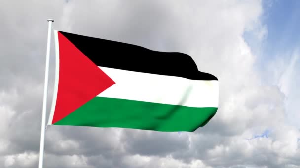 Flagge von Palestin — Stockvideo