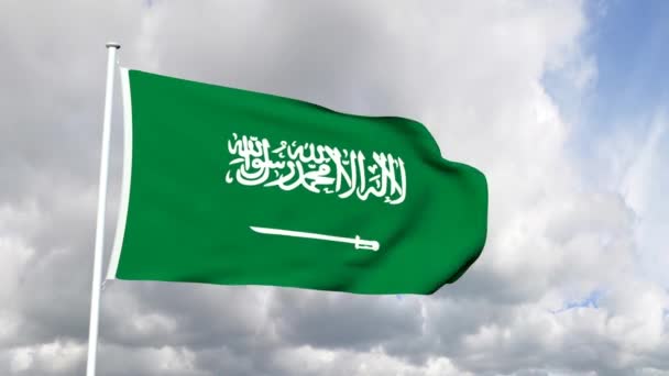 Regno di Arabia Saudita — Video Stock