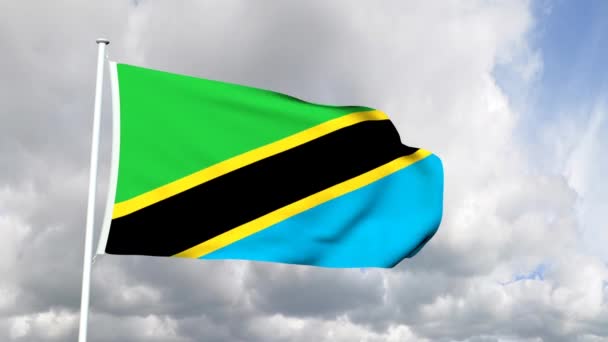 Vlag van tanzania — Stockvideo