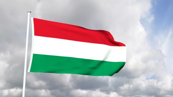 Flag of Hungary — Stock Video