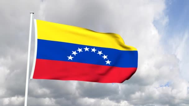 Venezüella bayrağı — Stok video