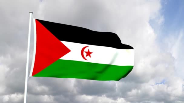 Bandera del Sahara Occidental — Vídeos de Stock