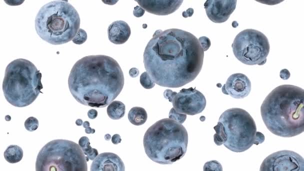 Blueberries falling down — Stock Video