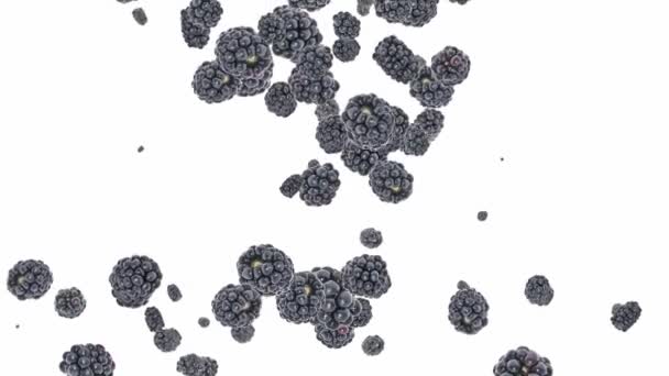 Blackberries falling down and shaping a heart — Stock Video