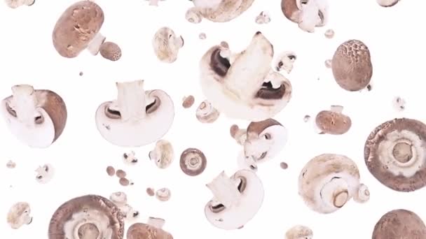 Champignons en chute libre — Video