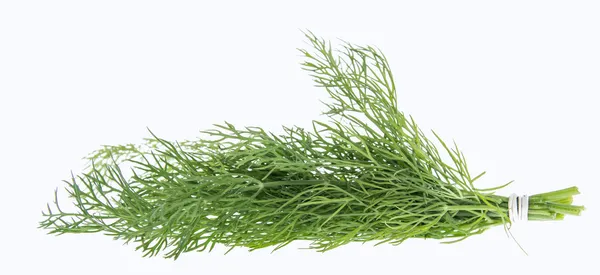 Bunch of Dill on white — Stock Photo, Image