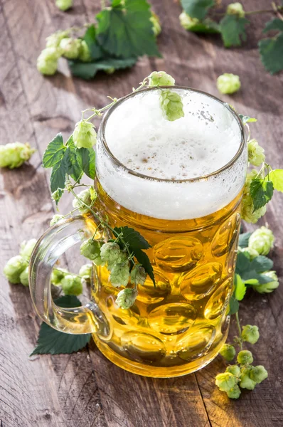 Beer with Hops — Stock Photo, Image