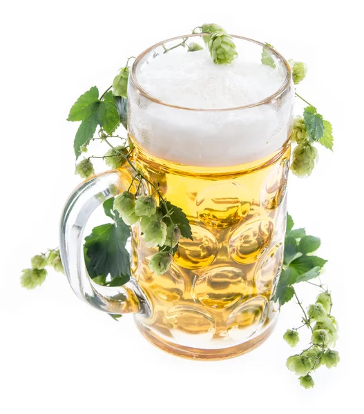 Mug of Beer with Hops on white — Stock Photo, Image
