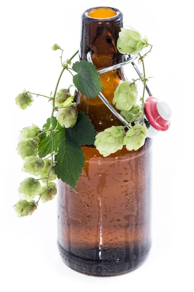 Botella de cerveza con lúpulo en blanco — Foto de Stock