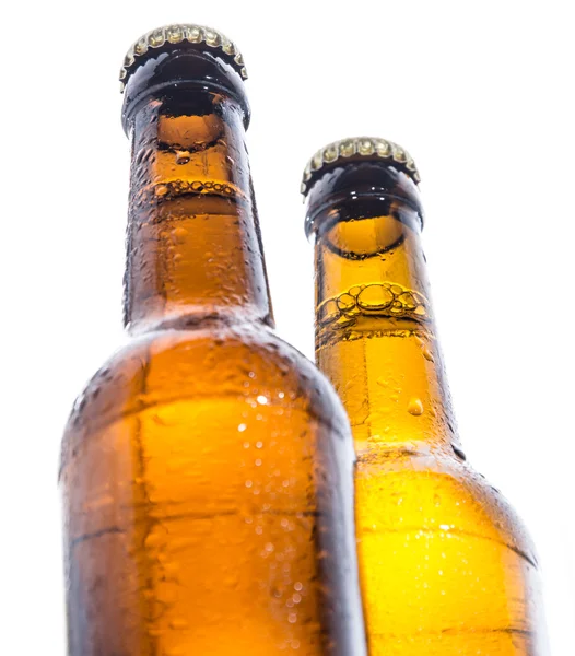Dos botellas mojadas de cerveza en blanco — Foto de Stock