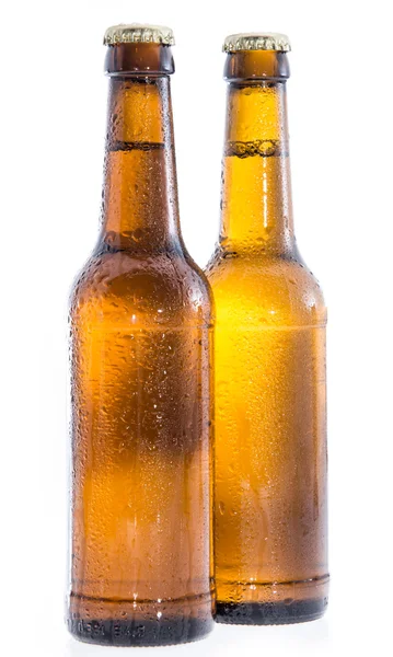 Dos botellas mojadas de cerveza en blanco — Foto de Stock