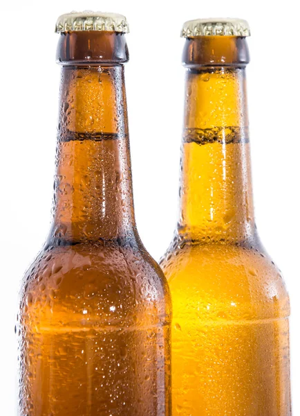 Dos botellas mojadas de cerveza en blanco — Foto de Stock