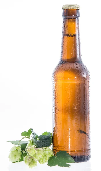 Wet bottle of Beer on white — Stock Photo, Image