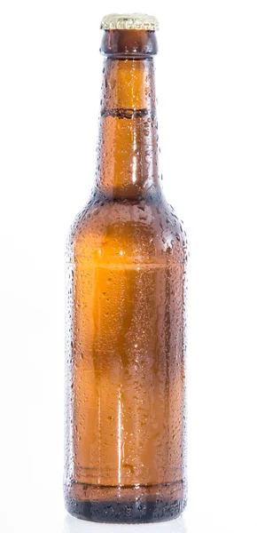 Wet bottle of Beer on white — Stock Photo, Image