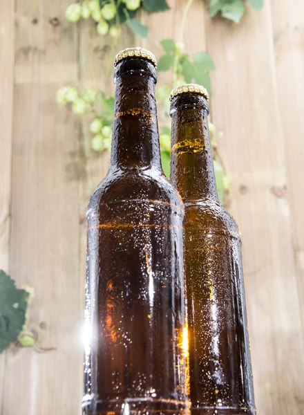 Bottiglie bagnate di birra — Foto Stock