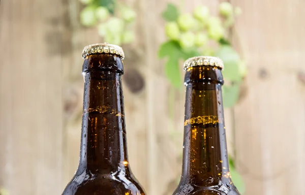 Dos botellas mojadas de cerveza sobre madera — Foto de Stock