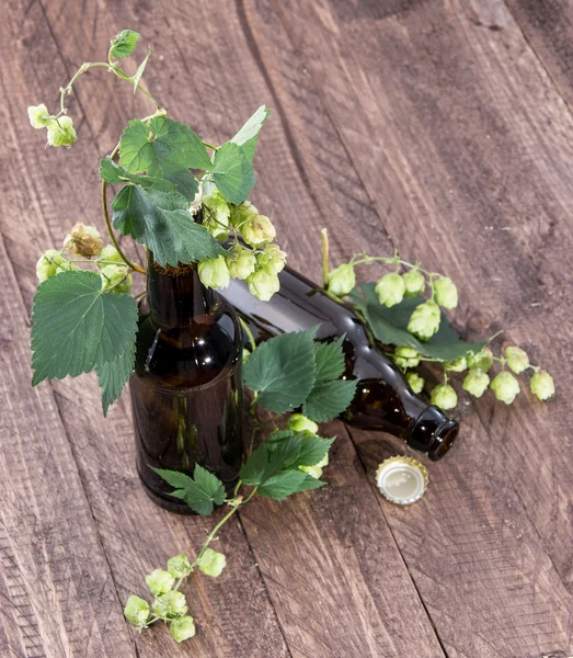 Botella vacía de cerveza decorada con lúpulo — Foto de Stock