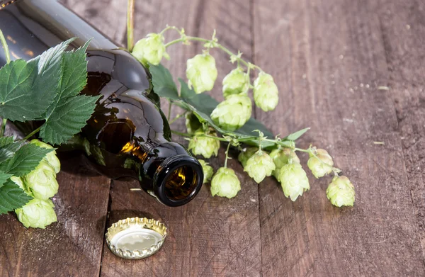 Empty bottle with Hops — Stock Photo, Image