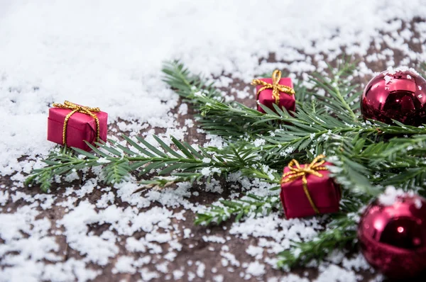 冷杉分支与雪 — 图库照片