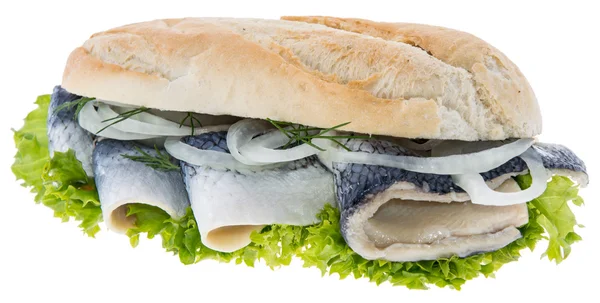 鲱鱼菲力 (反对白面包上) — 图库照片