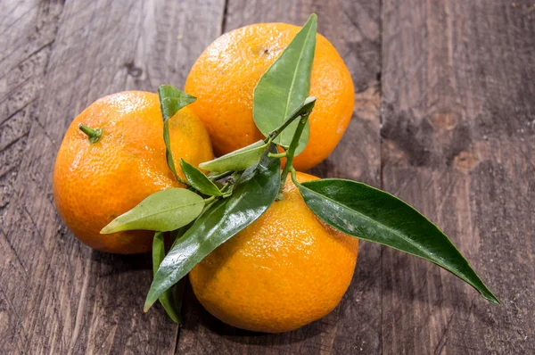 Färska tangerine med blad — Stockfoto