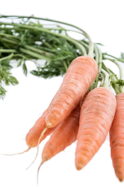 Manojo de zanahorias aisladas en blanco — Foto de Stock