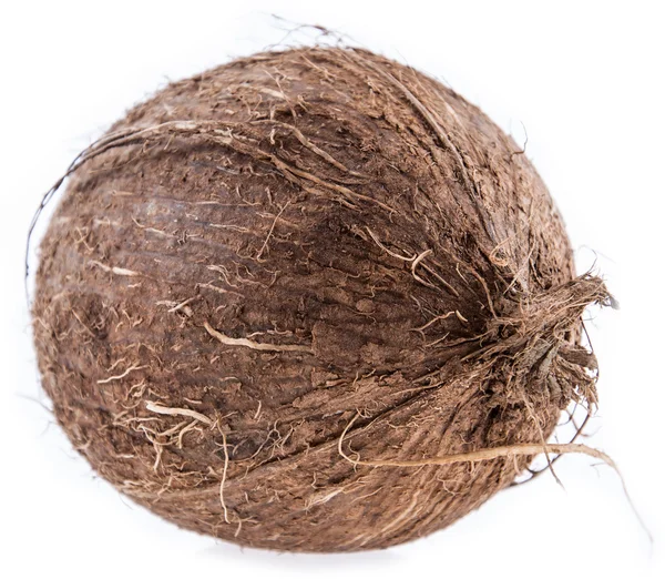 在白色孤立的封闭的椰子 — 图库照片