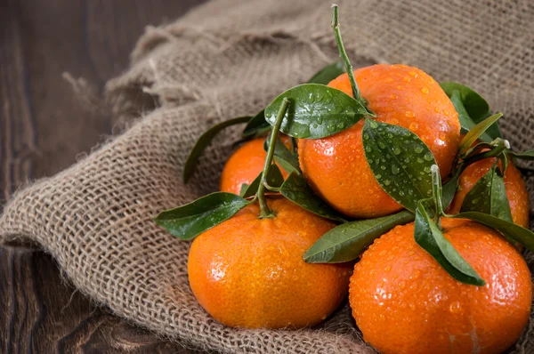 Färska mandariner med blad — Stockfoto