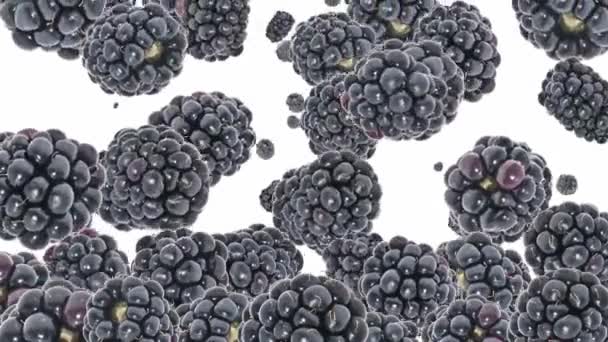 Fallende Brombeeren als Hintergrund-Video — Stockvideo