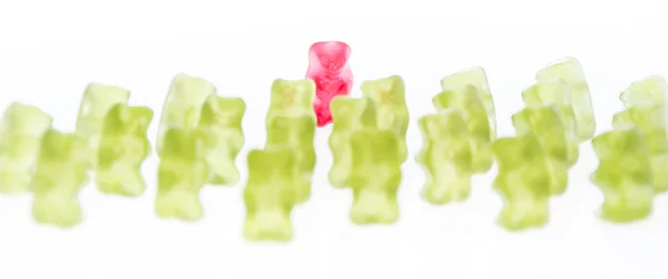 Red Bear in front of green Bears — Stock Photo, Image