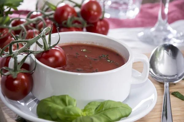 Sopa de tomate acabado de fazer — Fotografia de Stock