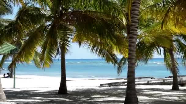 Palmeras con Jetty en una isla tropical — Vídeo de stock