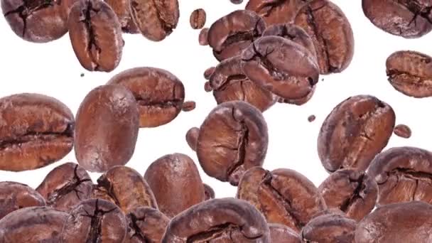 Graines de café tombantes — Video