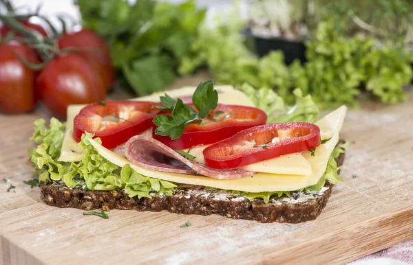 Salami Sandwich — Stock Photo, Image