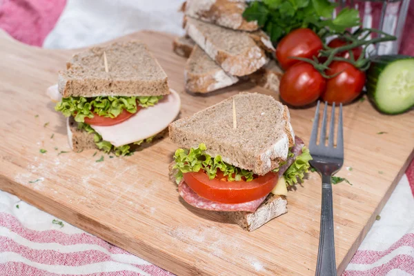 Turkey Sandwich — Stock Photo, Image