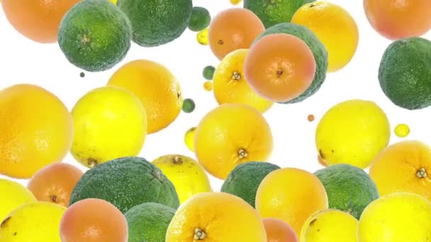 Citrus fruit vallende achtergrondvideo — Stockvideo