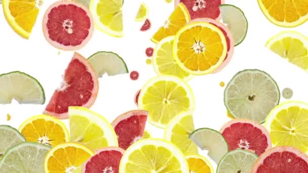 Citrus fruit vallende achtergrondvideo — Stockvideo