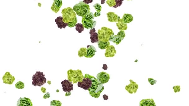 Falling lettuce shaping heart — Stock Video