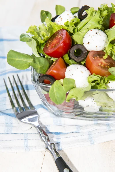 Del av färsk tomat-mozzarella sallad — ストック写真