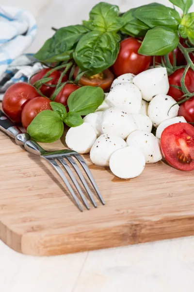 Tomates fraîches à la mozzarella — Photo