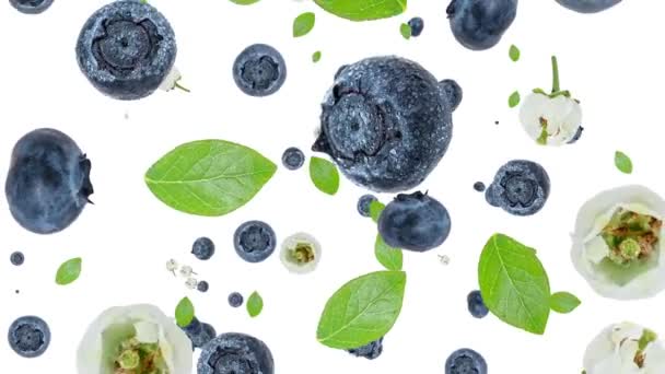 Blueberriesfalling dolů — Stock video