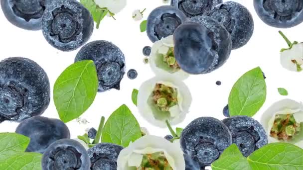 Falling Blueberries as background video — Stock Video