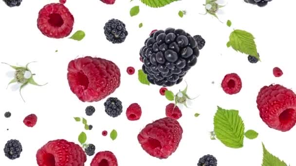 Falling Mixed Berries as background video — Stock Video