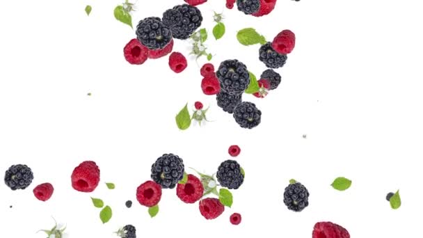 Falling Mixed Berries on white background . Sign heart — Stock Video