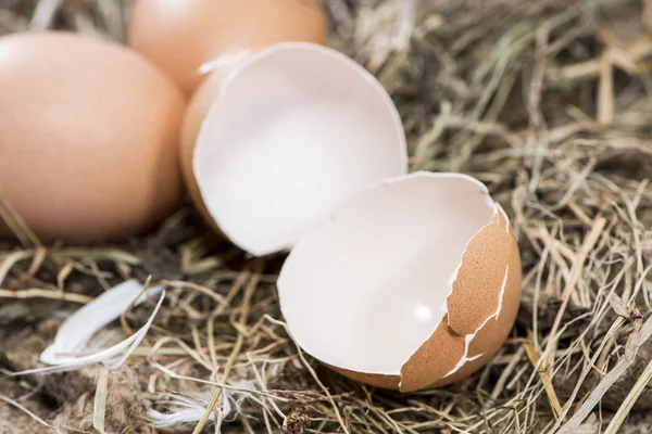 Frische Eier auf Holzgrund — Stockfoto