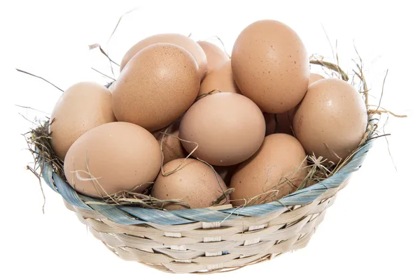 Brown Eggs isolated on white — Stock Photo, Image