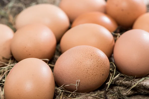 Frische Eier auf Holzgrund — Stockfoto